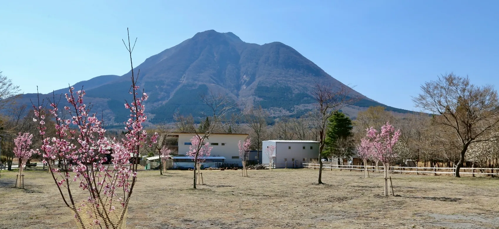 Image 3-1