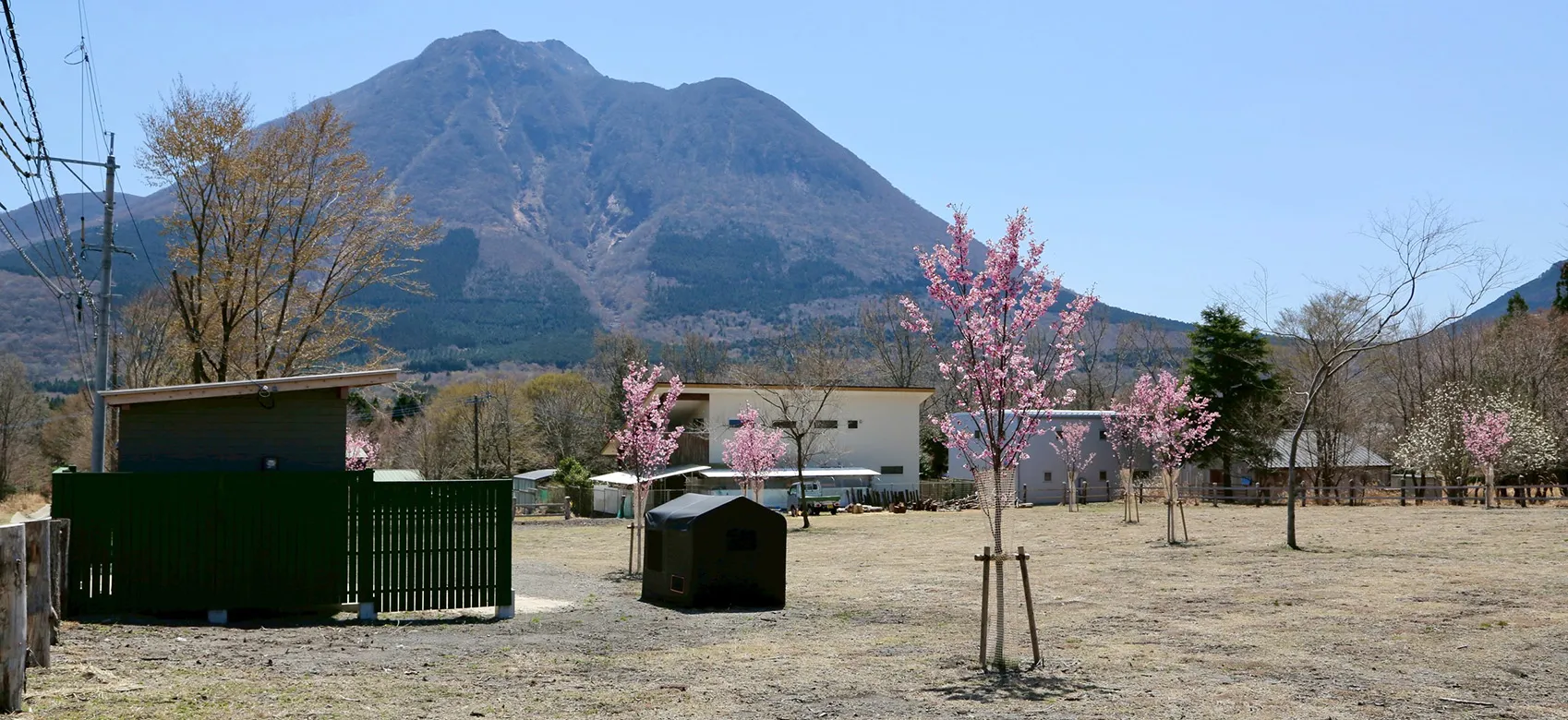 Image 3-2