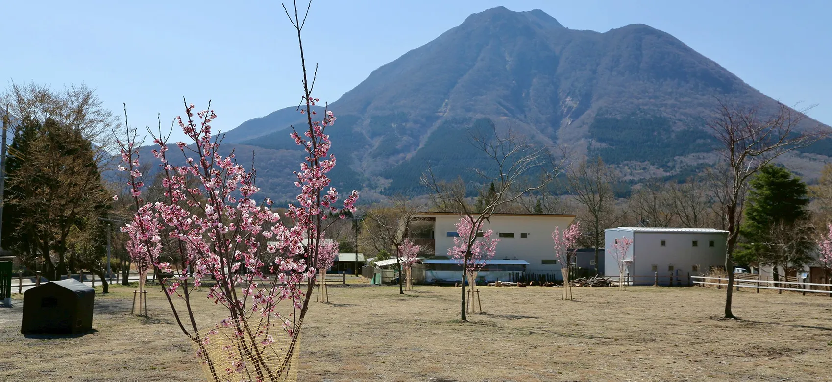 Image 3-3