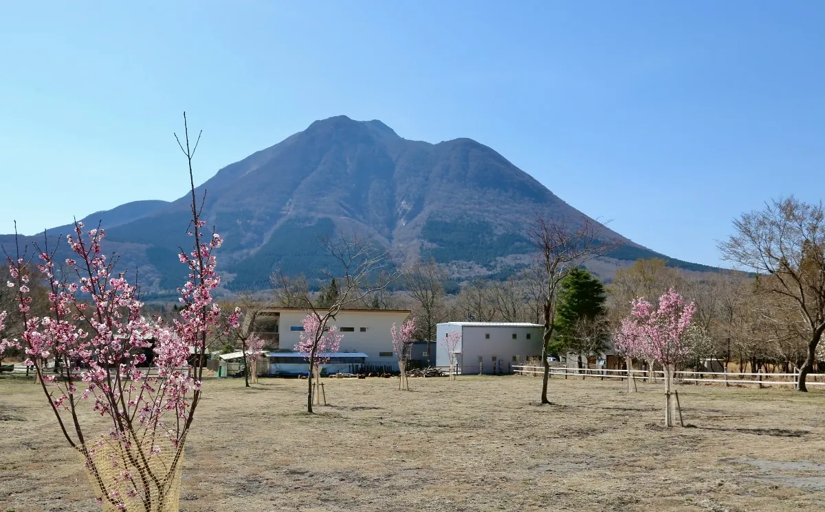 湯布院高原 AUTO VILLAGE